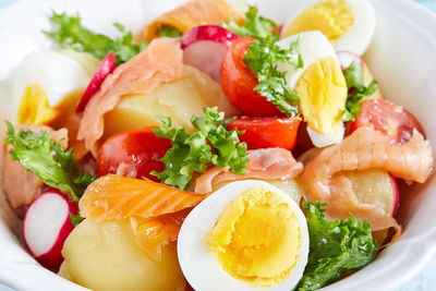 Close-up of meal served in plate