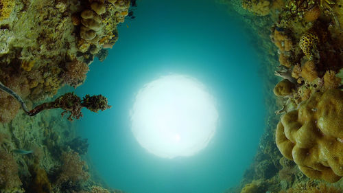 water