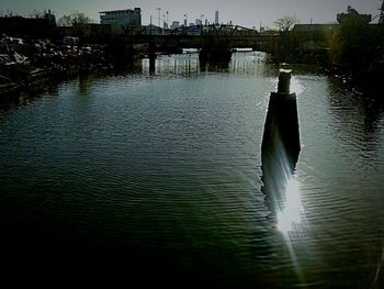 Reflection of trees in water