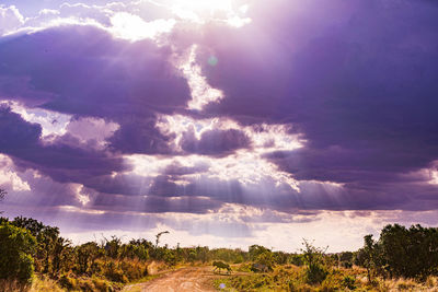sky