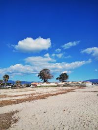 Scenic view of beach against blue sky