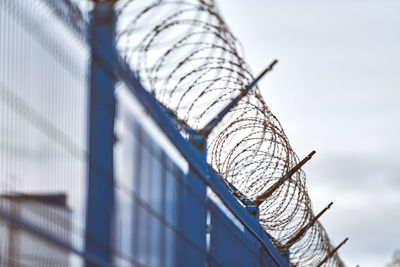 Barbed wire on blue fence of restricted area. no unauthorized entry. new fence, military border