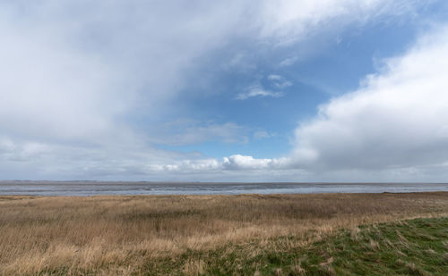 Scenic view of beach against sky