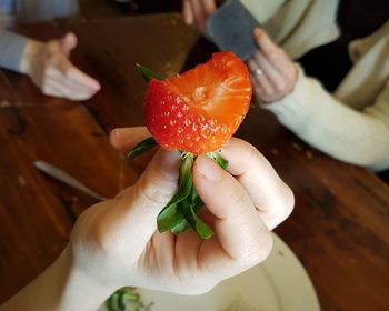 Close-up of cropped hand holding plant