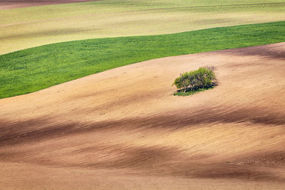 Scenic view of grassy hill