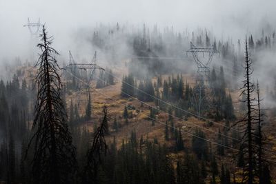 View of electricity pylon over trees in forest during foggy weather