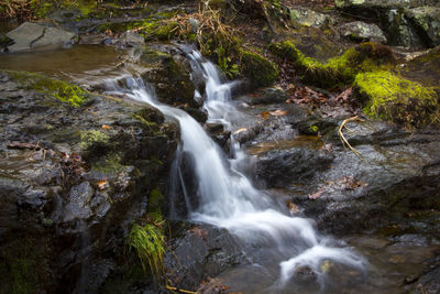 Scenic view of waterfall