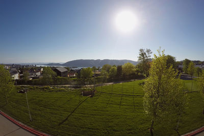 Scenic view of field against clear sky