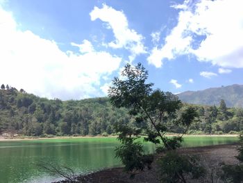 Scenic view of lake by trees against sky