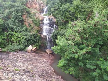 Scenic view of waterfall in forest