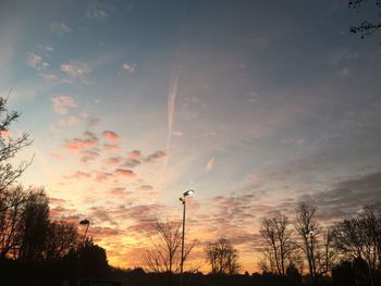 Low angle view of silhouette trees against sky during sunset