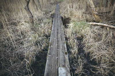 High angle view of wood