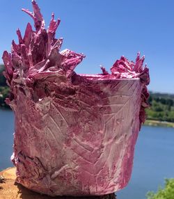 Close-up of pink rose against sky