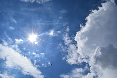 Low angle view of bird in sky