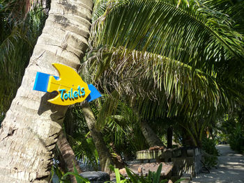 Close-up of signboard on tree trunk