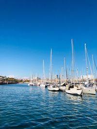 Sailboats in marina