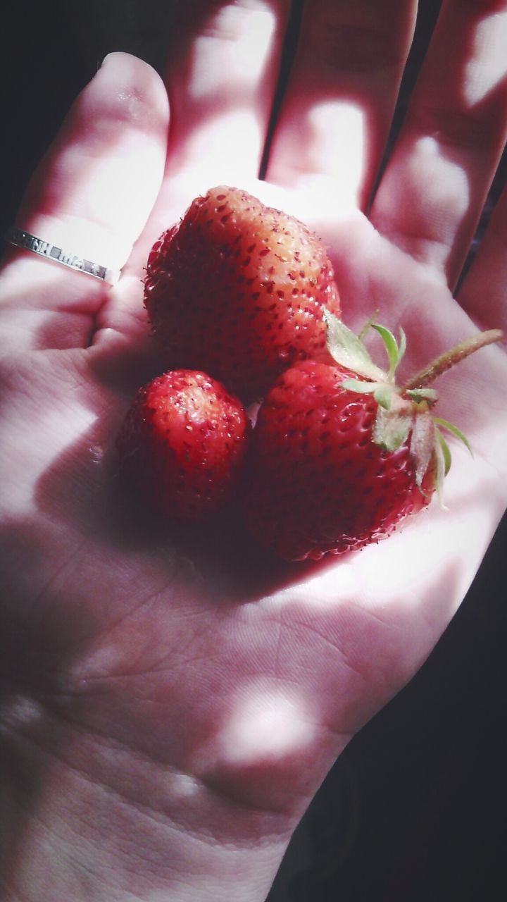 person, red, freshness, part of, holding, food and drink, indoors, fruit, cropped, food, human finger, close-up, healthy eating, strawberry, unrecognizable person, lifestyles