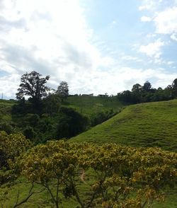 Scenic view of field against cloudy sky