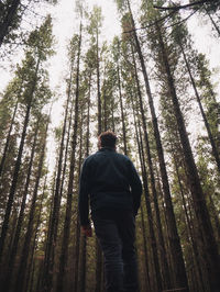 Rear view of man standing by trees in forest