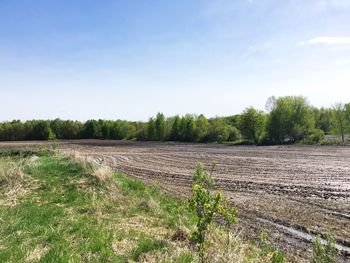 Scenic view of field against sky