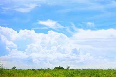 Scenic view of landscape against cloudy sky