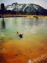 Scenic view of lake and mountains