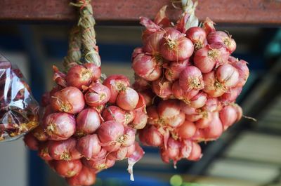 Close-up of berries on display at market