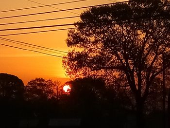 Low angle view of silhouette trees against orange sky