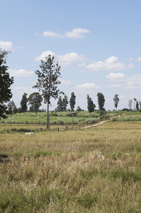 Scenic view of field against cloudy sky