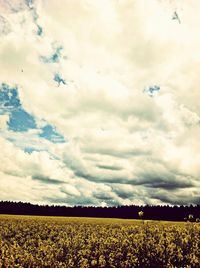 Scenic view of field against cloudy sky