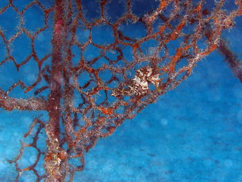 Low angle view of rusty metal by sea against blue sky