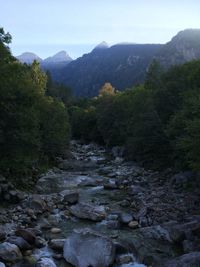 Scenic view of river in forest against sky