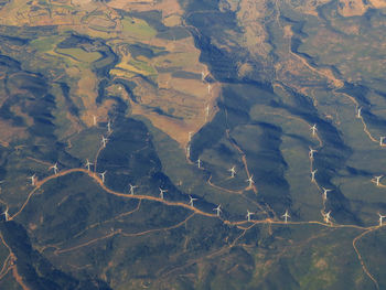 Aerial view of windmills on field