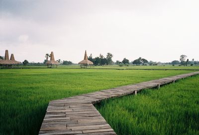 Scenic view of farm against sky