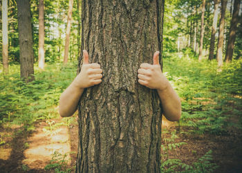 Cropped hands gesturing on tree trunk in forest