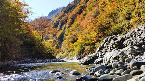 River flowing through rocks