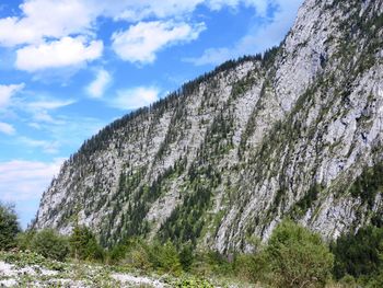 Scenic view of landscape against cloudy sky