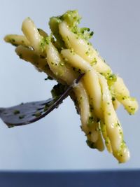 Close-up of food on white background