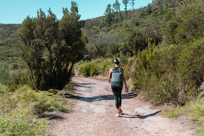 Rear view of woman walking on road amidst trees