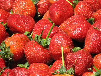 Perfectly ripe strawberries at a farmer's market.