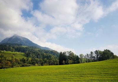 Scenic view of green landscape and mountains against sky