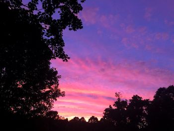 Low angle view of silhouette trees against sky at sunset