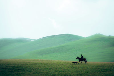 People riding horse on field against sky