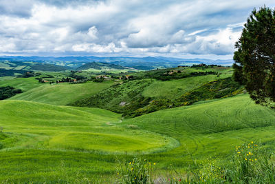 Scenic view of landscape against sky