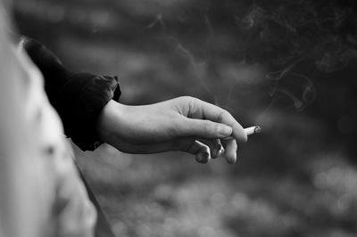 Close-up of hand holding leaf