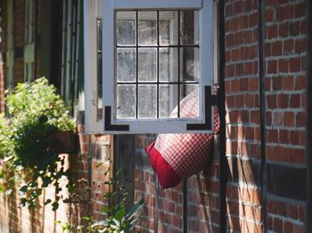 Close-up of window