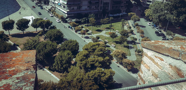High angle view of trees by road in city