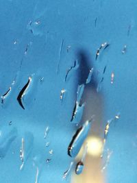 Close-up of fish swimming in sea against blue sky