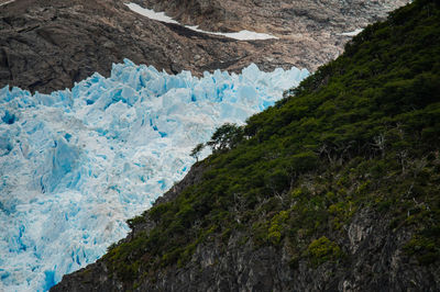 environment