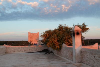 Tree by building terrace against sky during sunset